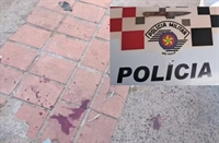 Casal arranca testículos de cachorro com faca de cozinha na região  
