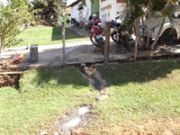 Jura apresentou fotos da situação da Vila Carvalho