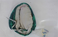 Droga foi encontrada na fralda do menino ao entrar no CDP de Rio Preto (Foto: Divulgação/SAP)