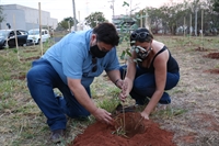 No Dia da Árvore, a Reserva Dr. Onivaldo Paulino Reganin recebeu o plantio de 30 mudas de árvores nativas regionais (Foto: Saev Ambiental)