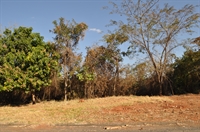 A Polícia esteve no local para investigar as causas do incêndio (Foto: Fábio Ferreira)