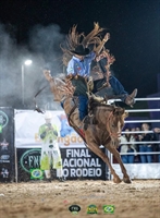 Cavalo Crime Perfeito é eleito o Melhor Animal de Rodeio da Temporada 2025