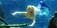 Parque contrata 'sereias' nos EUA (Foto: Weeki Wachee Springs/Facebook)