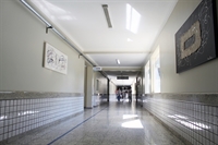 Santa Casa de Votuporanga registra 199 atendimentos por picadas de escorpião em dez meses