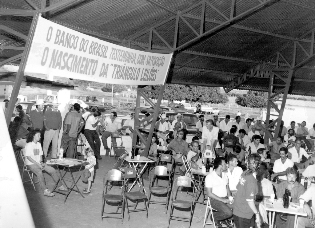 Por um tempo, nas proximidades da Roseira (município de Cosmorama) estava instalado o leilão de gado mais concorrido da região. Trata-se Triangulo Leilões, fundado por Vicente Castrequine ao lado de José Peixe e José Fiori. O local reunia pecuaristas e gente do ramo de gado de todas as cidades da região. Esta foto registra o movimento no dia da inauguração do Triângulo Leilões, no ano de 1991. A foto é do arquivo pessoal da família de Vicente Castrequine