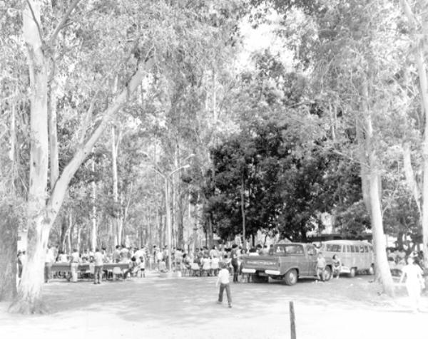 Horto Florestal - No momento que se projeta melhor aproveitamento do Horto Florestal como área de lazer, levantamos uma foto panorâmica registrada no local nos anos 70. Consta que naquela oportunidade a reserva foi aberta para a comemoração do Dia das Crianças havendo uma grande movimentação no local. O Horto Florestal já foi palco de memoráveis encontros festivos, inclusive com recepção para autoridades visitantes e até festa de confraternização do funcionalismo público. É um ponto atrativo da cidade que por questões de segurança foi fechado para o público. Agora estuda-se o seu aproveitamento como lazer da comunidade.