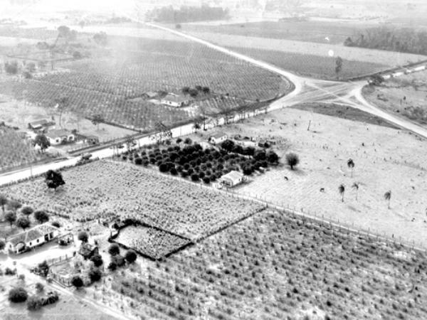 Começo dos anos 60 - a rodovia Euclides da Cunha na altura do cruzamento com a Avenida Brasil (estrada de Parisi). A duplicação nem era sonho. O bairro Pozzobon não existia. Esse é um retrato de um projeto futuro.