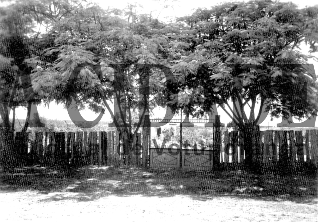 O primeiro cemitério - Votuporanga, fundada em 1937, teve a demarcação da área do cemitério nos primeiros anos da sua existência. Esta foto do início do povoado já mostrava alguns jazigos num terreno cercado de lascas de madeira. Ao centro, a antiga capela datada 1937. O local é o mesmo que hoje está situado o antigo cemitério, na Avenida da Saudade. Nos anos 70, deu-se a construção do segundo cemitério municipal (anexo ao primeiro) e tinha sido projetado para ser um cemitério jardim. Não emplacou. Em vista dos reclamos da população, a segunda parte do novo cemitério ganhou a construção de jazigos, contrariando o projeto inicial.

***Confira mais desta coluna em nossa edição impressa e online para assinantes.
