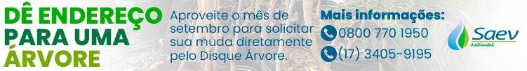SAEV (Arvore)