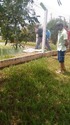 Criança morre afogada em tanque de peixes