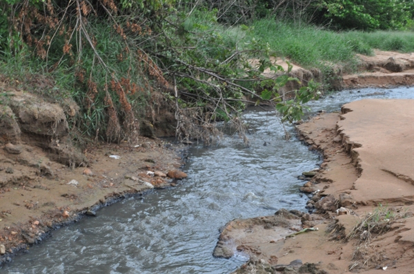 Em determinado ponto a água limpa do córrego se mistura com o esgoto; denúncia foi feita pelo vereador Jura  (Foto: A Cidade) 