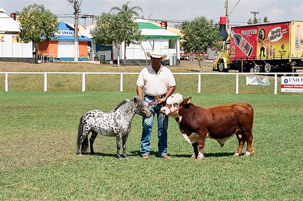 Expô-Fisav terá uma mini fazenda