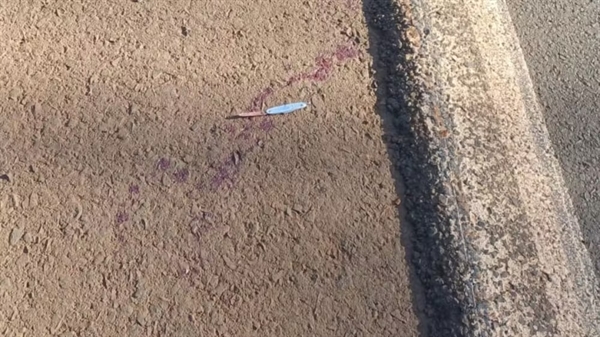 Segundo a polícia, os quatro adolescentes voltavam de um pré-carnaval na cidade de Floreal. Foto: Divulgação Polícia Militar