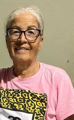 Maria Aparecida Barbosa Vieira, 68 anos (Foto: Redes sociais) 