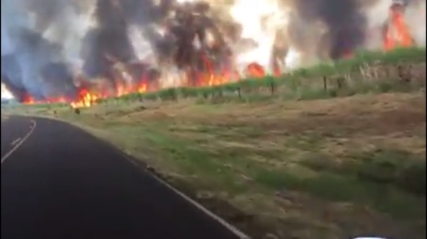  Um incêndio de grandes proporções atingiu uma área de plantação de cana-de-açúcar às margens da vicinal Carlos Gandolfi (Foto: Arquivo Pessoal ) 