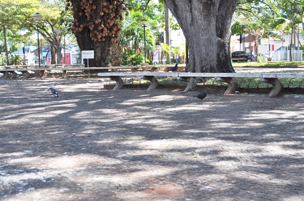 A vereadora Sueli Friósi relatou reclamações que chegaram a ela por meio de munícipes (Foto: A Cidade)