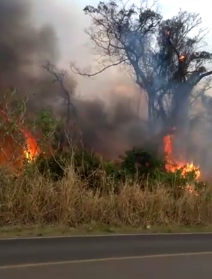 O combate ao incêndio durou aproximadamente por 40 minutos (Foto: reprodução)