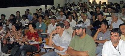 Alimentação do gado interfere na produção de leite