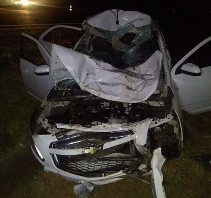 Duas pessoas ficaram feridas após atropelamento de búfalo em rodovia de Catanduva (SP) (Foto: Arquivo Pessoal)