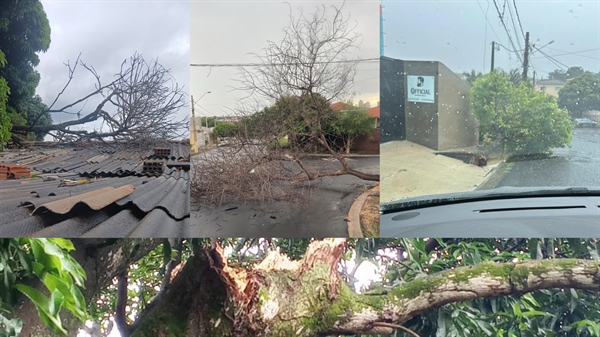 A previsão do tempo indica que para hoje são esperados 11,3 milímetros de chuva em Votuporanga. Fotos: Defesa Civil