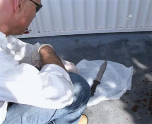 Homem que matou a mãe vai receber tratamento psiquiátrico