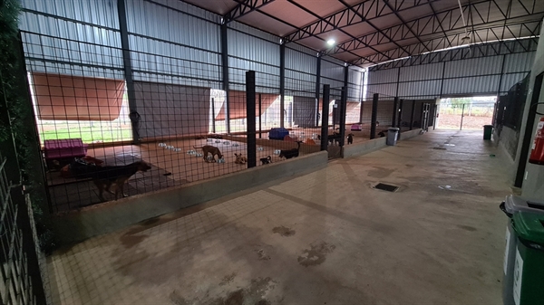 Na noite de domingo (10), o Centro de Zoonoses sofreu uma tentativa de furto de um de seus equinos; o caso foi parar na Polícia e ninguém foi preso  (Foto: Prefeitura de Votuporanga) 