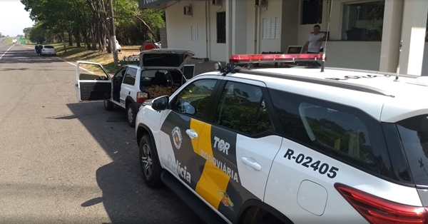 Polícia Rodoviária Estadual apreendeu mais de 500 tabletes de maconha em Glicério — Foto: Divulgação/PRE