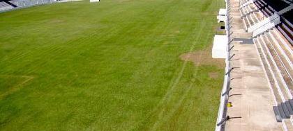 Vereadores votam venda do Estádio Plínio Marin