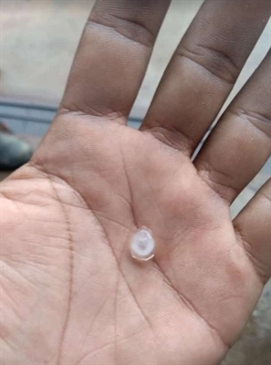 Chove granizo na tarde desta quinta-feira (24) em Votuporanga (Foto: Arquivo Pessoal)