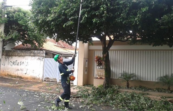 Serviço começou a ser ofertado pela Saev após denúncias de podas feitas de forma errada 