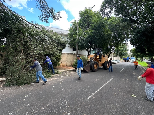 O dia ontem foi de muito trabalho para Prefeitura na limpeza dos estragos provocados pelo temporal de anteontem (Foto: Prefeitura de Votuporanga)