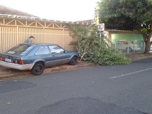 Veículo só parou após bater em uma árvore na calçada (Foto: Julia Rigazzo/TV TEM)