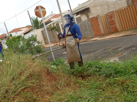 Levantamento aponta 622 lotes com mato alto na cidade