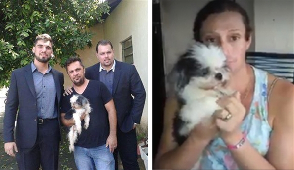  Juiz concede liminar e retira cachorro de autora de crime de maus-tratos