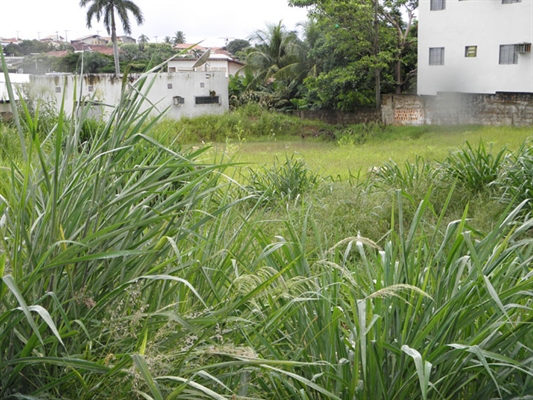 Fiscalização de terrenos começa na Zona Norte