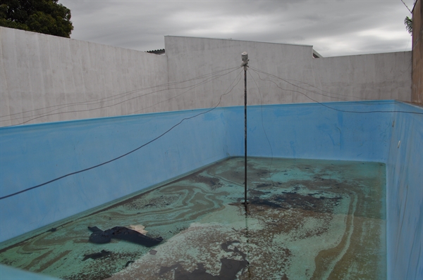 Piscina abandonada vira grande criadouro da doença 