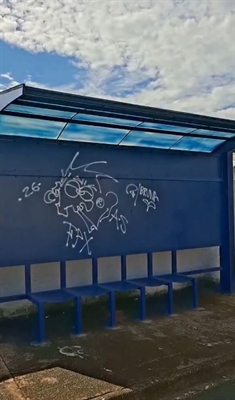 Ponto de ônibus na rua Armelindo Brunini, no Pozzobon. Foto: Instagram Débora Romani