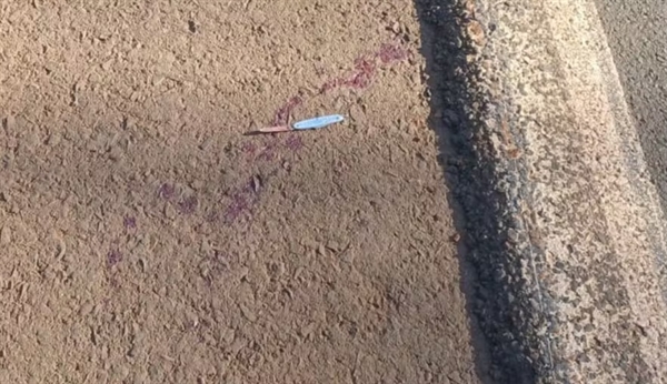 Crime ocorreu neste sábado (31) (Foto: Polícia Militar/Divulgação)