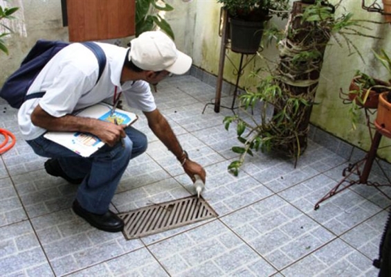 Cidade realiza ações para evitar aumento da dengue