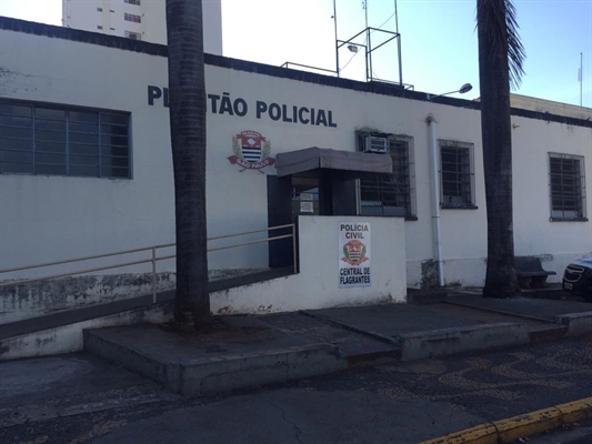 O boletim de ocorrência foi registrado na Central de Flagrantes de Votuporanga (Foto: Érika Chausson/A Cidade)