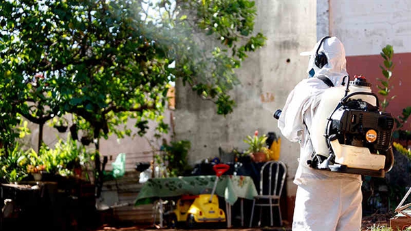 A atuação preventiva é uma medida da Prefeitura de Votuporanga para evitar possíveis doenças causadas pelo mosquito (Foto: Reprodução)
