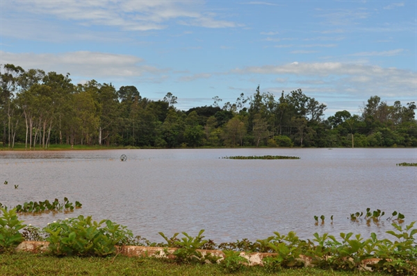 Represa da Saev Ambiental está com 50% de assoreamento