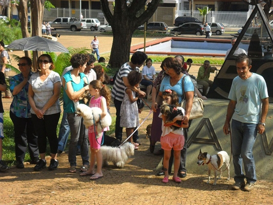 Igreja Católica promove hoje a bênção dos animais