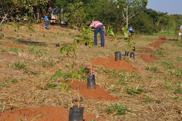  Saev Ambiental comemora Semana do Meio Ambiente (Foto: Divulgação/Prefeitura de Votuporanga)