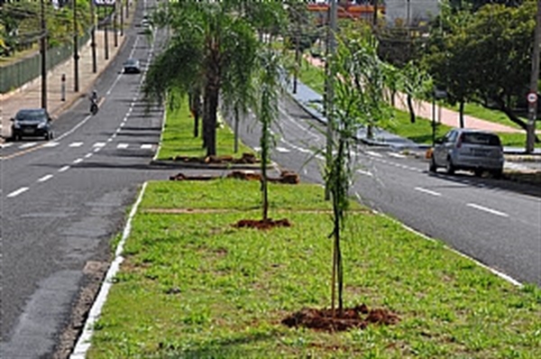 (Foto: Divulgação/Prefeitura de Votuporanga)