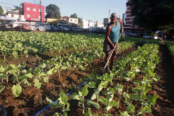 Projeto: um exemplo bem-sucedido da iniciativa ocorre no município de Campos, no Estado do Rio de Janeiro (Foto: Superintendência de Comunicação/Prefeitura de Campos) 