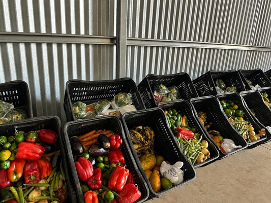 Exigência garante a identificação da origem de frutas, verduras, legumes e hortaliças   Foto: Prfeitura de Votuporanga