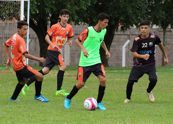 Campeonato Paulista: sub-15 e sub-17 da Alvinegra jogam hoje na Arena Plínio Marin (Foto: Rafael Nascimento/CAV)