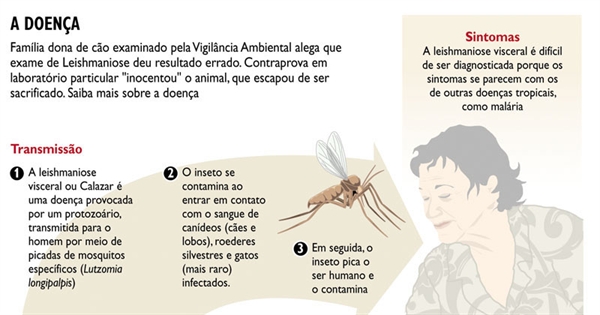 Mesmo com incidência alta, casos diminuem em 10%