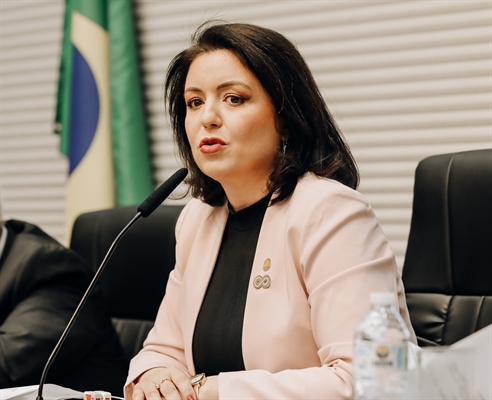 Andréa Werner é presidente da Comissão dos Direitos das Pessoas com Deficiência da Assembleia Legislativa  (Foto: Assembleia Legislativa)